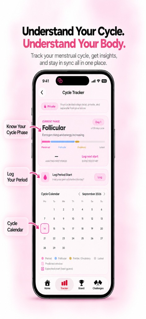 Cycle Insights Mockup